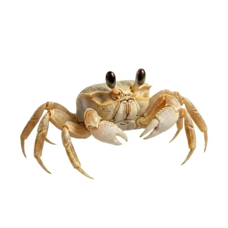 Ziguezague